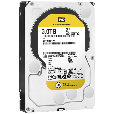 Western Digital RE 3.5" 3 To Série ATA III